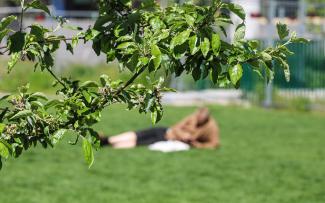 A person lies on a lawn